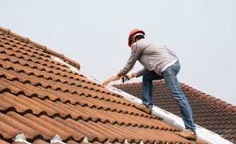 istockphoto-1264003590-612x612-1.jpg